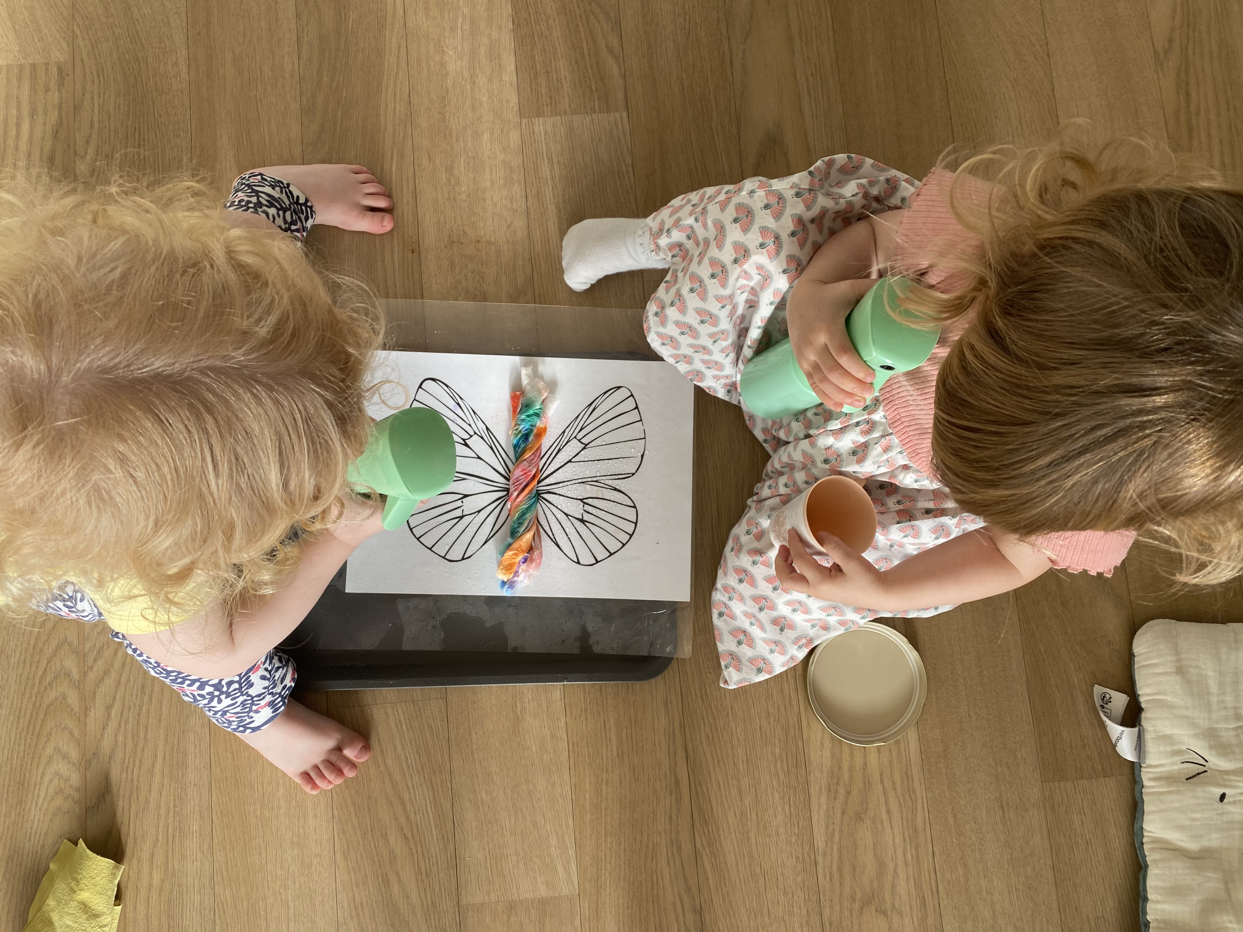 Activité papillon